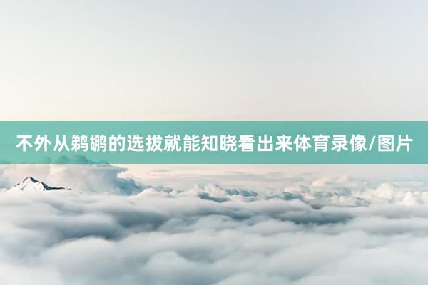 不外从鹈鹕的选拔就能知晓看出来体育录像/图片