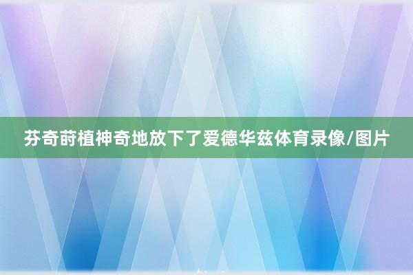 芬奇莳植神奇地放下了爱德华兹体育录像/图片