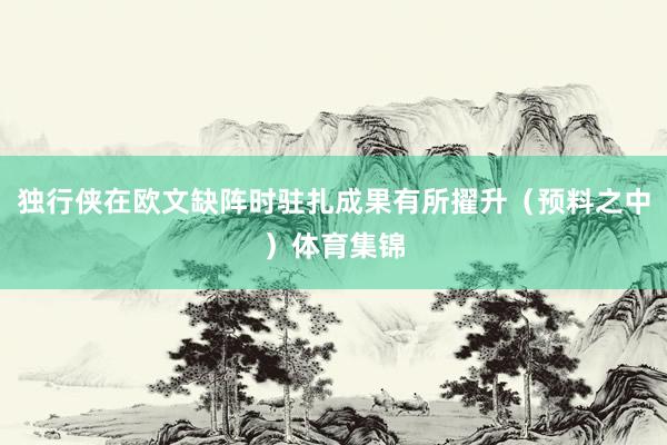 独行侠在欧文缺阵时驻扎成果有所擢升（预料之中）体育集锦