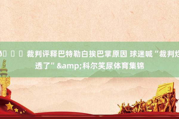 😂裁判评释巴特勒白挨巴掌原因 球迷喊“裁判烂透了”&科尔笑尿体育集锦