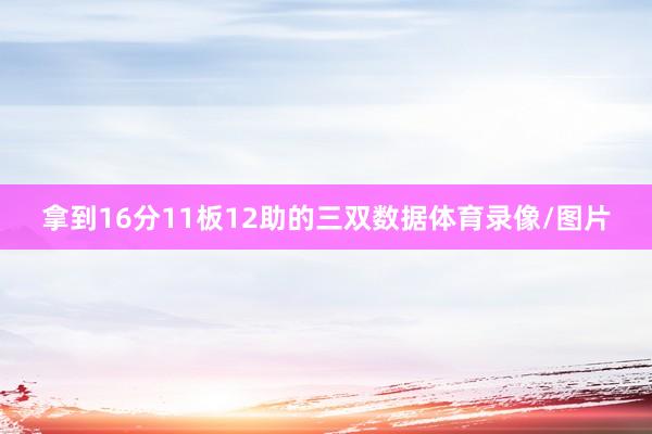 拿到16分11板12助的三双数据体育录像/图片