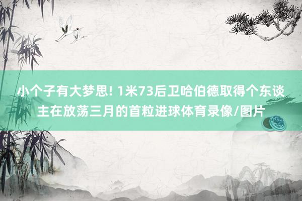 小个子有大梦思! 1米73后卫哈伯德取得个东谈主在放荡三月的首粒进球体育录像/图片