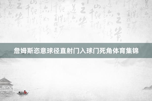 詹姆斯恣意球径直射门入球门死角体育集锦