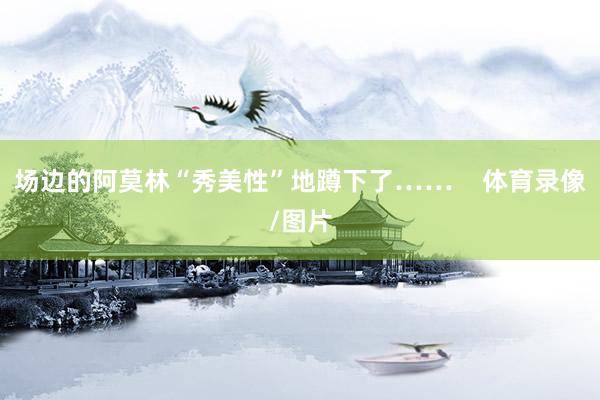 场边的阿莫林“秀美性”地蹲下了……    体育录像/图片
