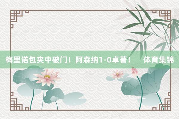 梅里诺包夹中破门！阿森纳1-0卓著！    体育集锦