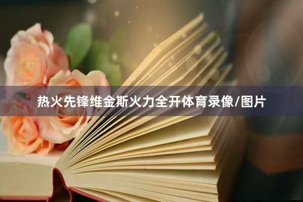 热火先锋维金斯火力全开体育录像/图片