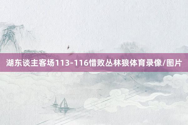 湖东谈主客场113-116惜败丛林狼体育录像/图片