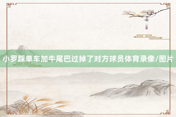 小罗踩单车加牛尾巴过掉了对方球员体育录像/图片