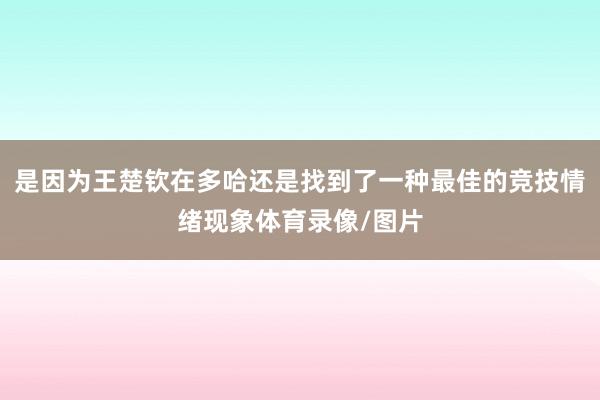 是因为王楚钦在多哈还是找到了一种最佳的竞技情绪现象体育录像/图片