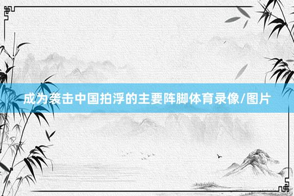 成为袭击中国拍浮的主要阵脚体育录像/图片