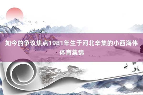 如今的争议焦点1981年生于河北辛集的小西海伟体育集锦