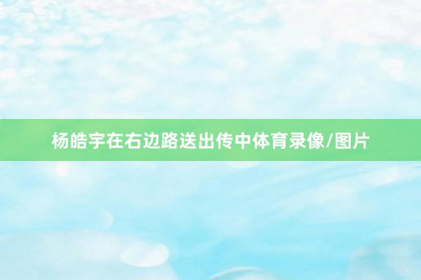 杨皓宇在右边路送出传中体育录像/图片