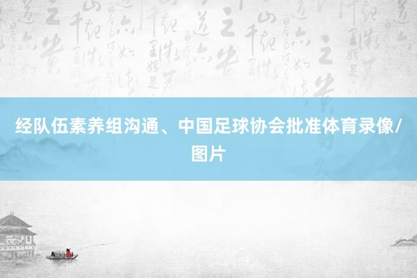 经队伍素养组沟通、中国足球协会批准体育录像/图片