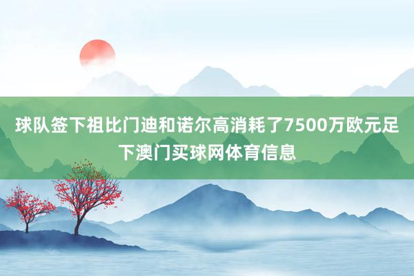 球队签下祖比门迪和诺尔高消耗了7500万欧元足下澳门买球网体育信息
