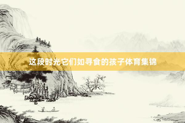 这段时光它们如寻食的孩子体育集锦