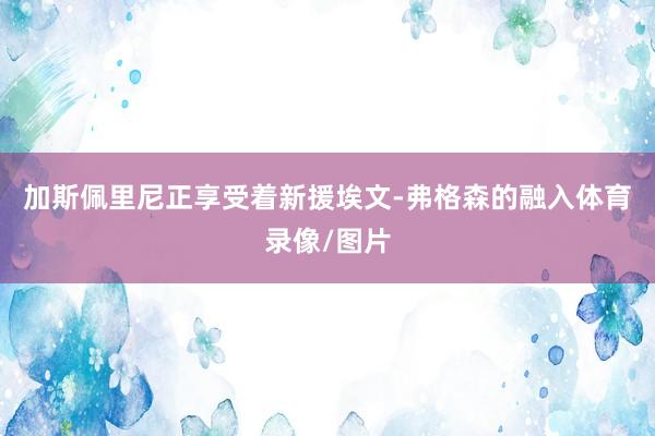 加斯佩里尼正享受着新援埃文-弗格森的融入体育录像/图片