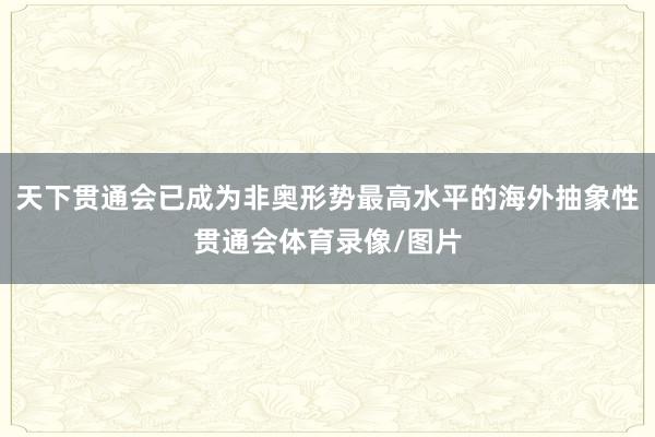天下贯通会已成为非奥形势最高水平的海外抽象性贯通会体育录像/图片