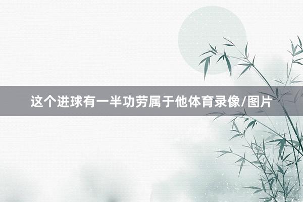 这个进球有一半功劳属于他体育录像/图片