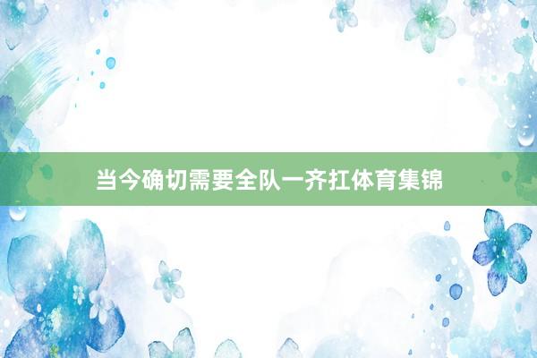当今确切需要全队一齐扛体育集锦
