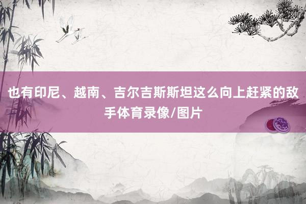 也有印尼、越南、吉尔吉斯斯坦这么向上赶紧的敌手体育录像/图片