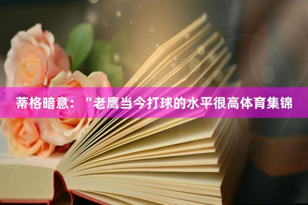 蒂格暗意：“老鹰当今打球的水平很高体育集锦