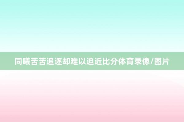 同曦苦苦追逐却难以迫近比分体育录像/图片
