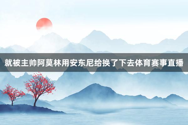 就被主帅阿莫林用安东尼给换了下去体育赛事直播