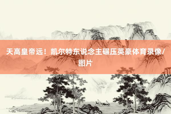 天高皇帝远！凯尔特东说念主碾压英豪体育录像/图片