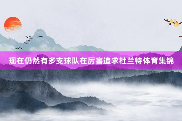 现在仍然有多支球队在厉害追求杜兰特体育集锦