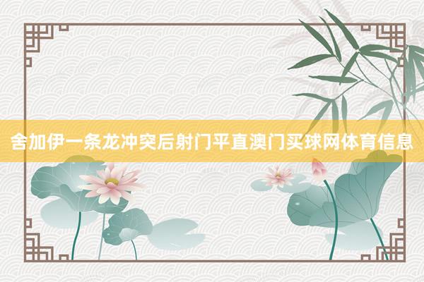 舍加伊一条龙冲突后射门平直澳门买球网体育信息