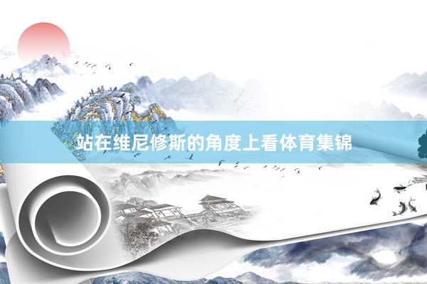 站在维尼修斯的角度上看体育集锦