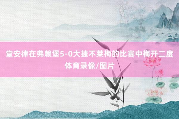 堂安律在弗赖堡5-0大捷不莱梅的比赛中梅开二度体育录像/图片