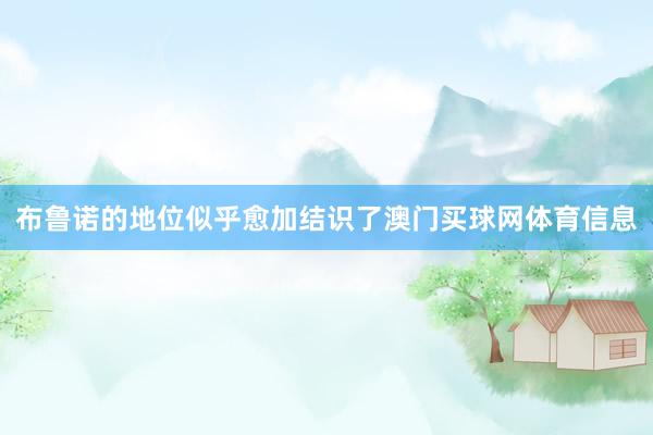 布鲁诺的地位似乎愈加结识了澳门买球网体育信息