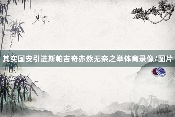 其实国安引进斯帕吉奇亦然无奈之举体育录像/图片