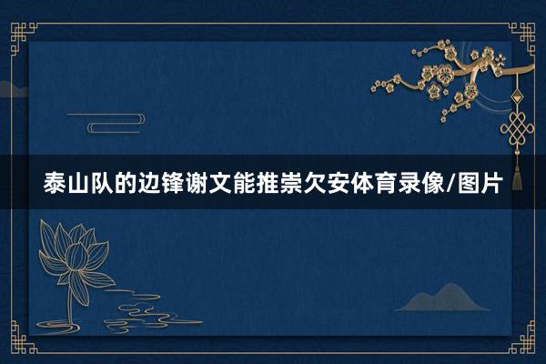 泰山队的边锋谢文能推崇欠安体育录像/图片