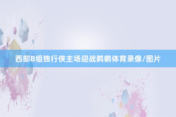 西部B组独行侠主场迎战鹈鹕体育录像/图片