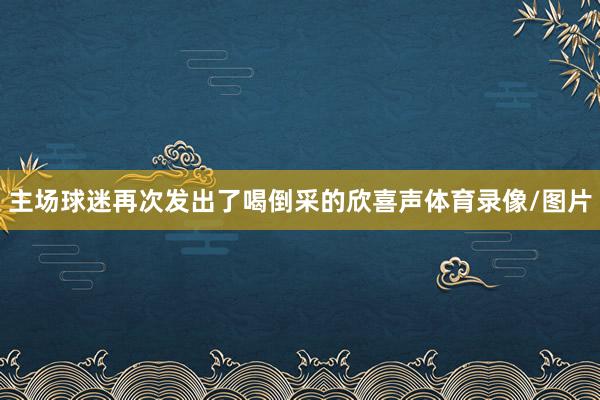 主场球迷再次发出了喝倒采的欣喜声体育录像/图片