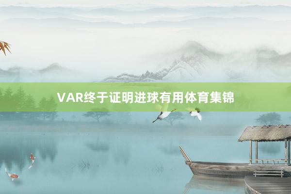 VAR终于证明进球有用体育集锦