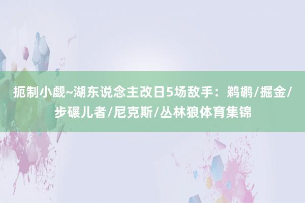 扼制小觑~湖东说念主改日5场敌手：鹈鹕/掘金/步碾儿者/尼克斯/丛林狼体育集锦